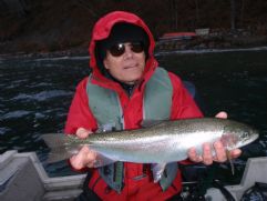 Rainbow Trout